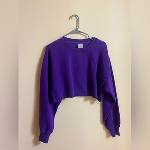 Aritzia (TNA) Purple crop too long sleeves. Worn once